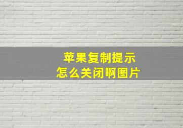 苹果复制提示怎么关闭啊图片