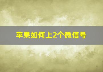 苹果如何上2个微信号