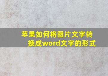 苹果如何将图片文字转换成word文字的形式