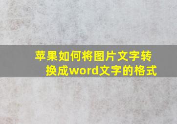 苹果如何将图片文字转换成word文字的格式