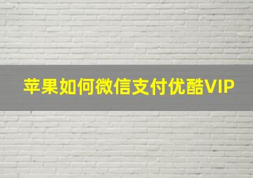 苹果如何微信支付优酷VIP