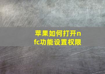 苹果如何打开nfc功能设置权限