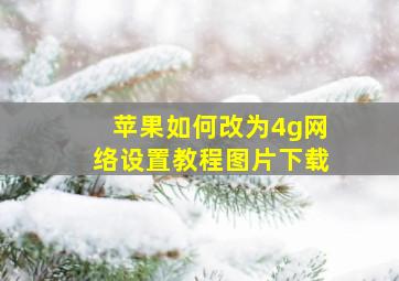 苹果如何改为4g网络设置教程图片下载