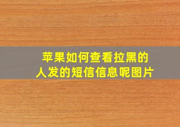 苹果如何查看拉黑的人发的短信信息呢图片