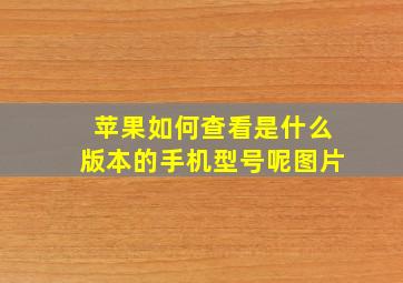 苹果如何查看是什么版本的手机型号呢图片