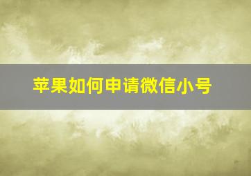 苹果如何申请微信小号