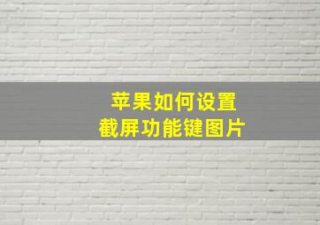 苹果如何设置截屏功能键图片