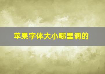 苹果字体大小哪里调的