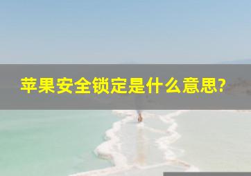 苹果安全锁定是什么意思?