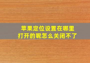 苹果定位设置在哪里打开的呢怎么关闭不了