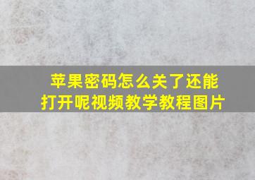 苹果密码怎么关了还能打开呢视频教学教程图片