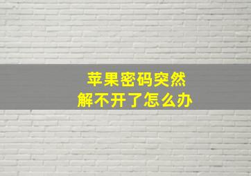 苹果密码突然解不开了怎么办