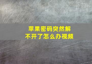 苹果密码突然解不开了怎么办视频