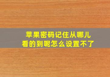 苹果密码记住从哪儿看的到呢怎么设置不了