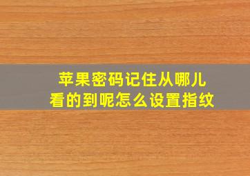 苹果密码记住从哪儿看的到呢怎么设置指纹