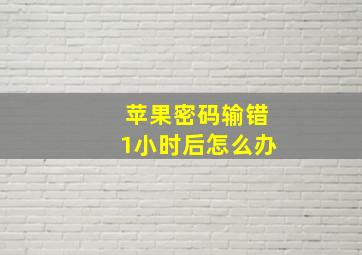 苹果密码输错1小时后怎么办