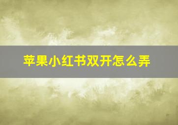 苹果小红书双开怎么弄