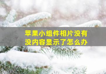 苹果小组件相片没有没内容显示了怎么办