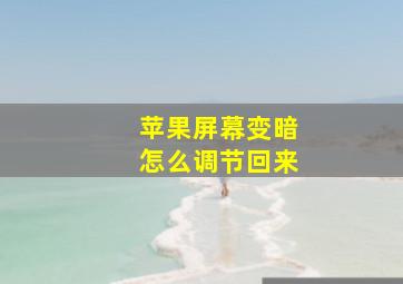 苹果屏幕变暗怎么调节回来