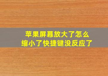 苹果屏幕放大了怎么缩小了快捷键没反应了