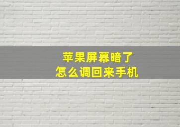 苹果屏幕暗了怎么调回来手机