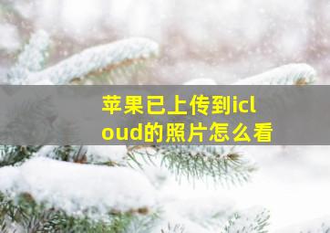 苹果已上传到icloud的照片怎么看