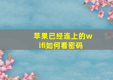 苹果已经连上的wifi如何看密码