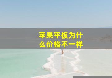 苹果平板为什么价格不一样