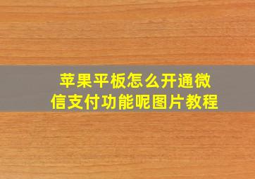 苹果平板怎么开通微信支付功能呢图片教程