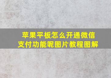 苹果平板怎么开通微信支付功能呢图片教程图解