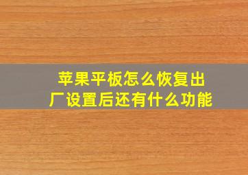 苹果平板怎么恢复出厂设置后还有什么功能