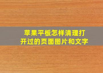 苹果平板怎样清理打开过的页面图片和文字