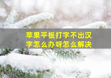 苹果平板打字不出汉字怎么办呀怎么解决