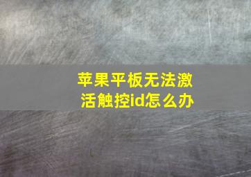 苹果平板无法激活触控id怎么办