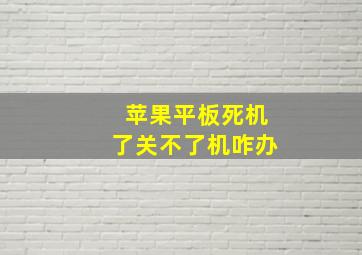 苹果平板死机了关不了机咋办