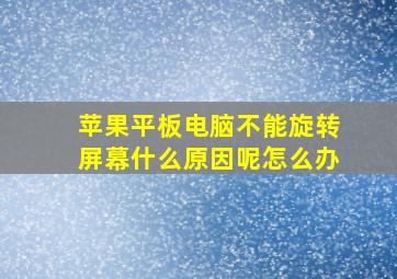 苹果平板电脑不能旋转屏幕什么原因呢怎么办