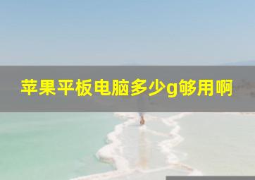 苹果平板电脑多少g够用啊