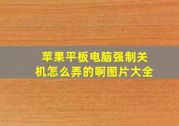 苹果平板电脑强制关机怎么弄的啊图片大全