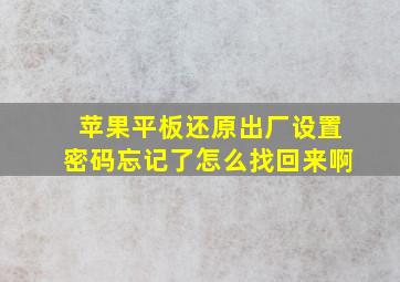 苹果平板还原出厂设置密码忘记了怎么找回来啊