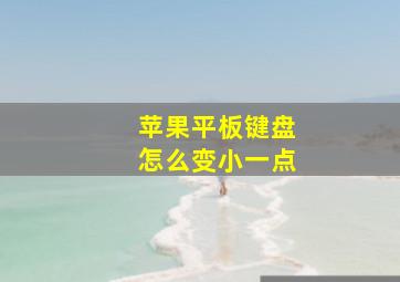 苹果平板键盘怎么变小一点