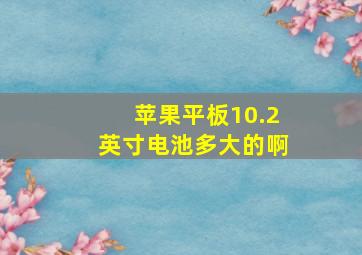 苹果平板10.2英寸电池多大的啊