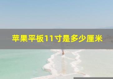 苹果平板11寸是多少厘米