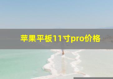 苹果平板11寸pro价格