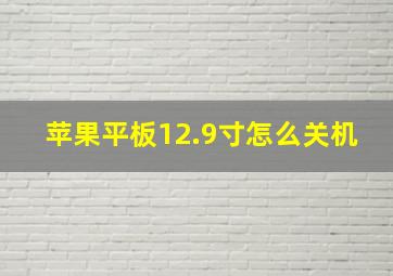 苹果平板12.9寸怎么关机