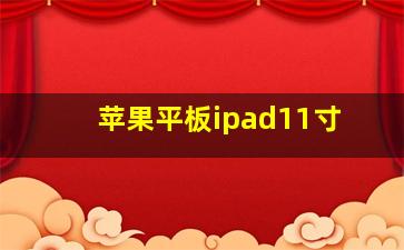 苹果平板ipad11寸