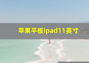 苹果平板ipad11英寸