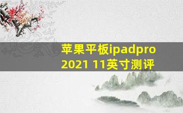 苹果平板ipadpro2021 11英寸测评