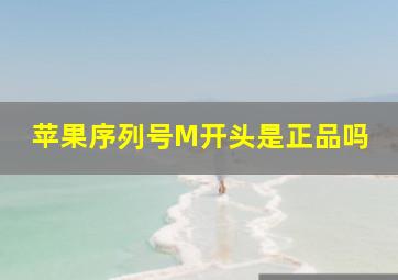 苹果序列号M开头是正品吗