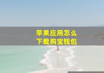 苹果应用怎么下载购宝钱包