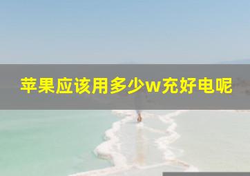 苹果应该用多少w充好电呢